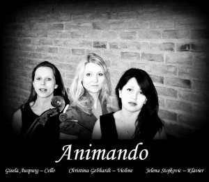 Ensemble Animando 2